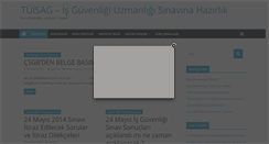 Desktop Screenshot of isgsinavi.com