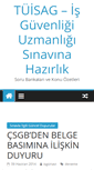 Mobile Screenshot of isgsinavi.com