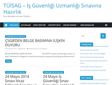 Tablet Screenshot of isgsinavi.com